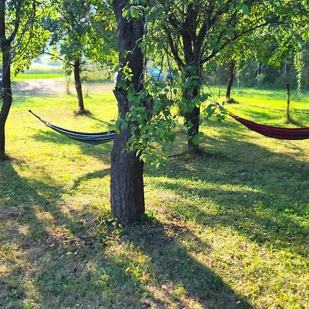 Cristel Casuta Fara Ganduri Hotel Kismindszent Kültér fotó